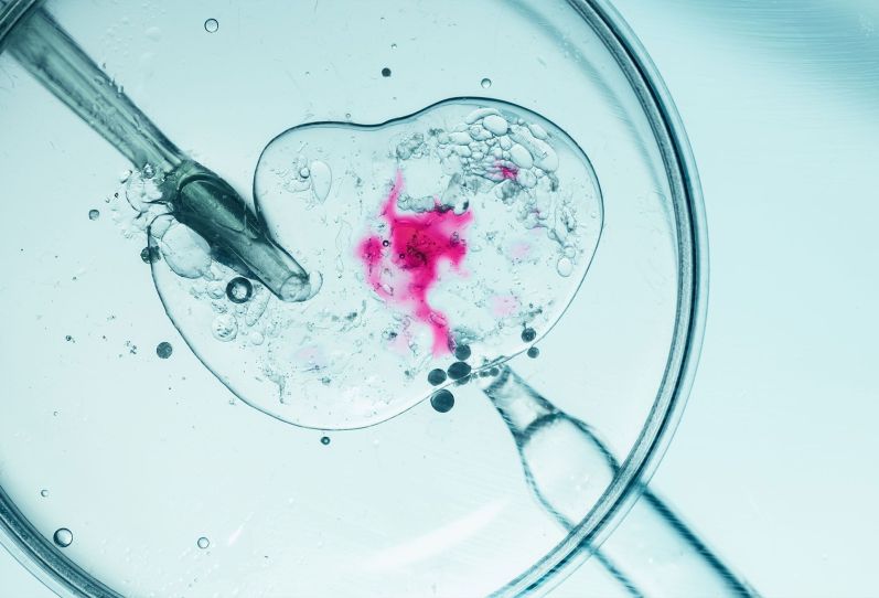 Generic and Biosimilar Medications